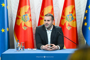 Spajić: Brđanin nema povjerenje nijednog člana 44. Vlade, samim...