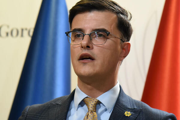 Šaranović: And the arrest of Perović is an indicator of the extent...