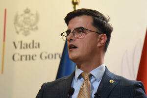 Šaranović: The security system, regardless of numerous challenges with...