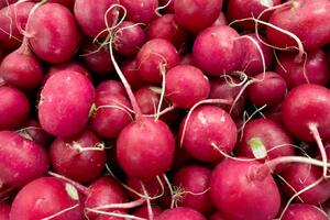 Mexico: The festival where the most valuable radishes are sold in...