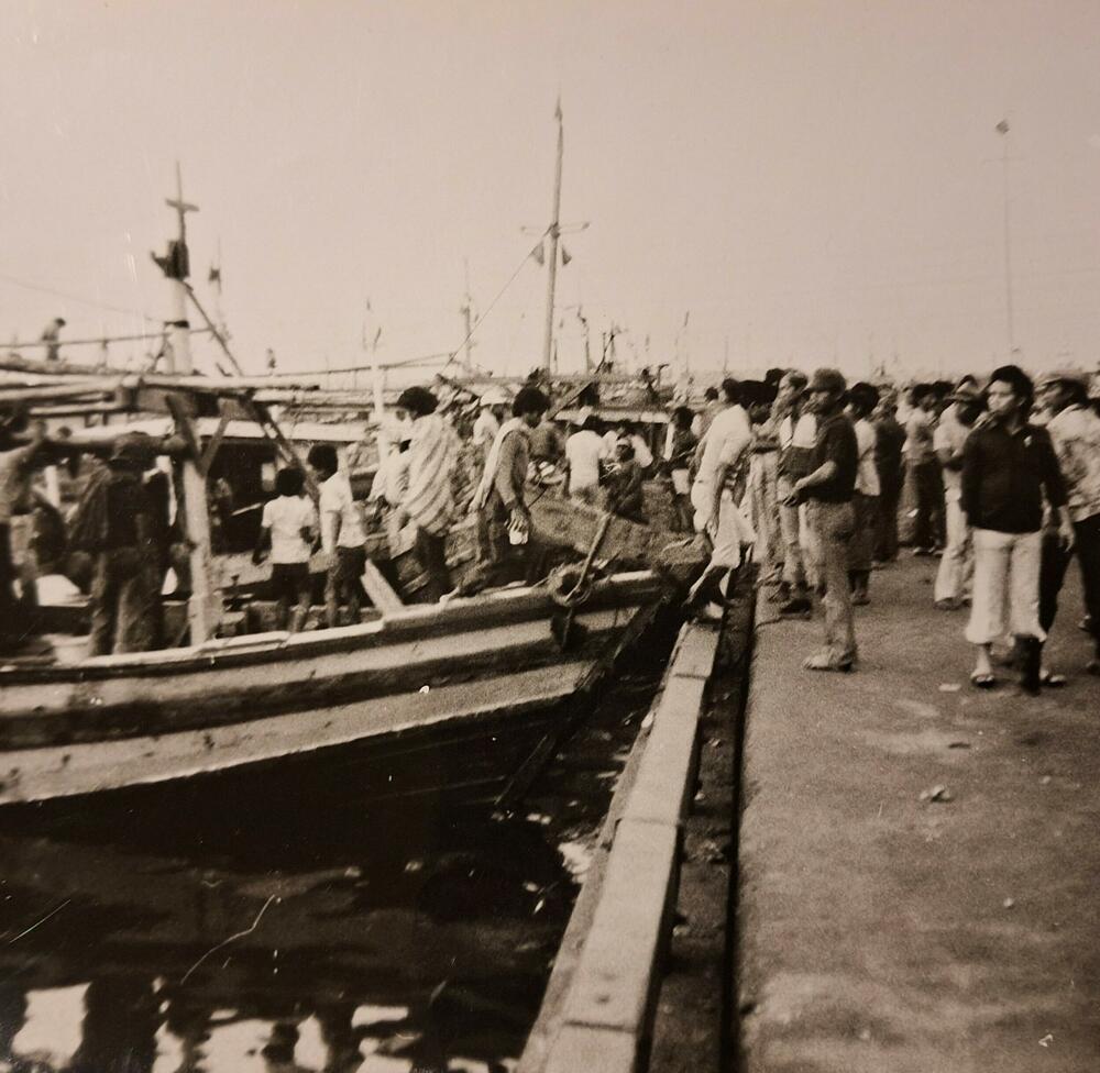 Stižu ribari s barkama punim ribe