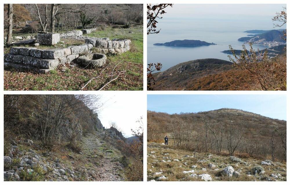 Jasnina putovanja Goli vrh