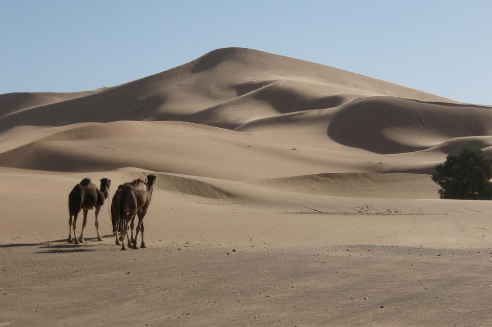 Lala Lalia u pustinji Sahari, u Erg Čebi, Maroko, Foto: Reuters