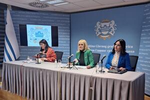 Borovinić Bojović: The government in Podgorica is stable, five previous...