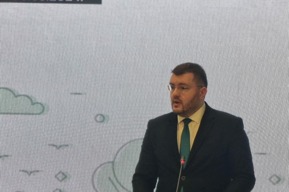 Koprivica, Foto: Nikola Saveljić