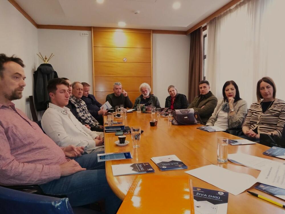 Živa i njena toksičnost