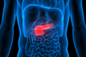 Many people don't know exactly what the pancreas is: It can kill you if it's not healthy