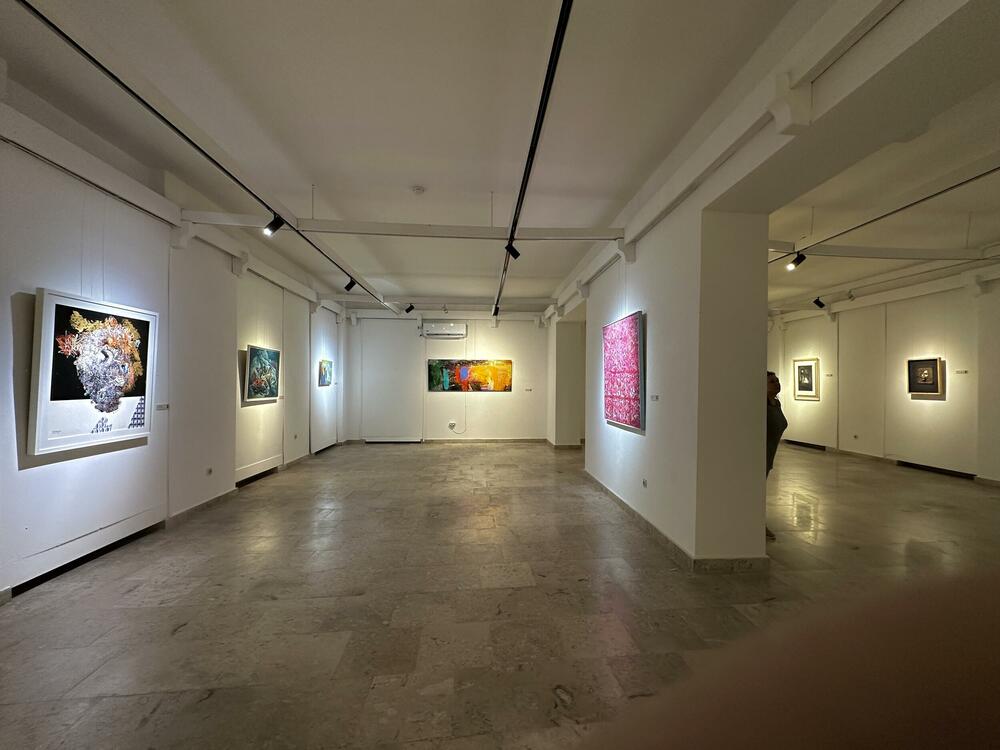 Hercegnovski zimski salon