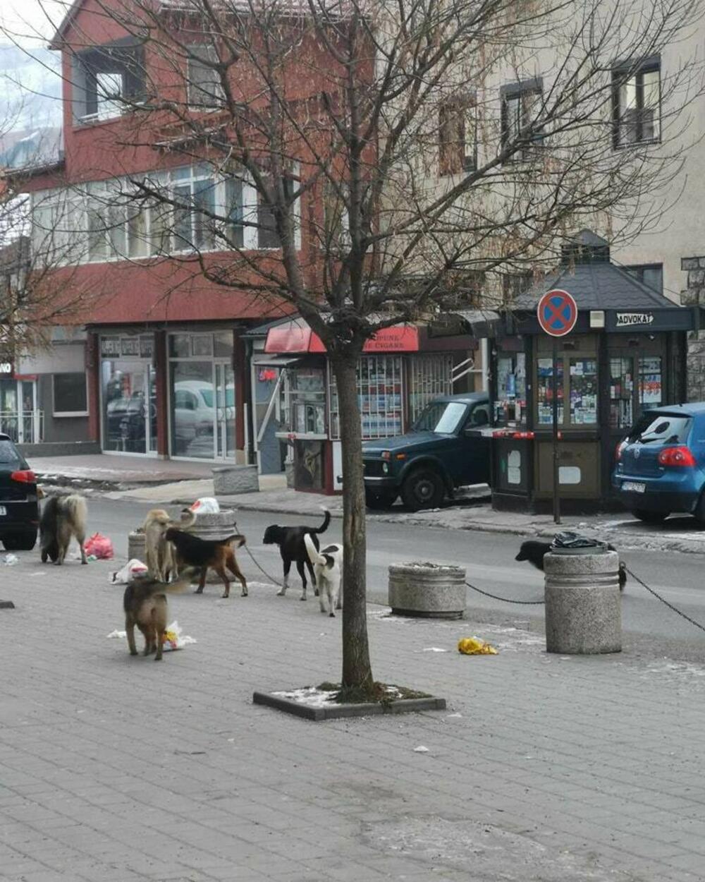 Opština je, tvrde, odredila lokaciju za izgradnju skloništa
