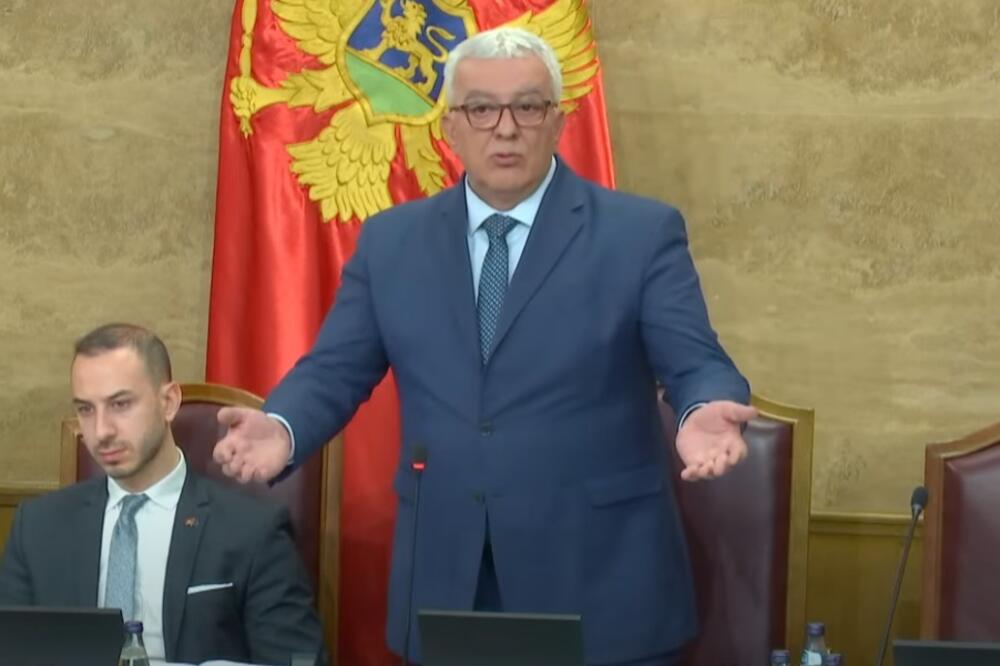 Mandić, Foto: Skupština Crne Gore