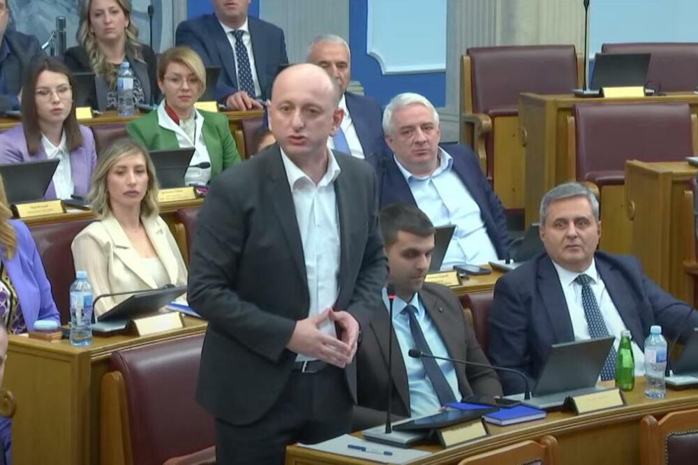 Knežević at today's session of the Assembly, Photo: Printscreen/Youtube