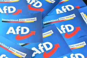 BR: For Bundestag members from the AfD, more extreme right-wingers are working,...