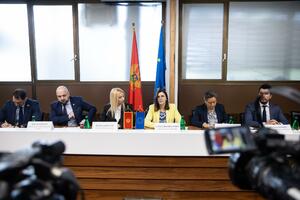 Popa: The EU and citizens of Montenegro expect political actors to...