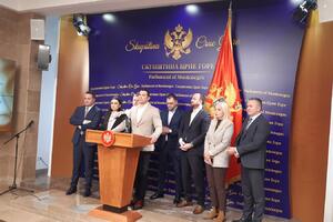 Janović: Vanredni parlamentarni izbori jedini izlaz iz anarhije,...