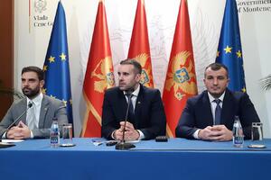 Spajić: There is no political instability, for the acting director...