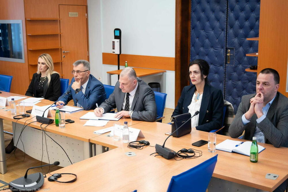 Sa jučerašnje sjednice parlamentarne Komsije za privatizaciju, Foto: Skupština CG