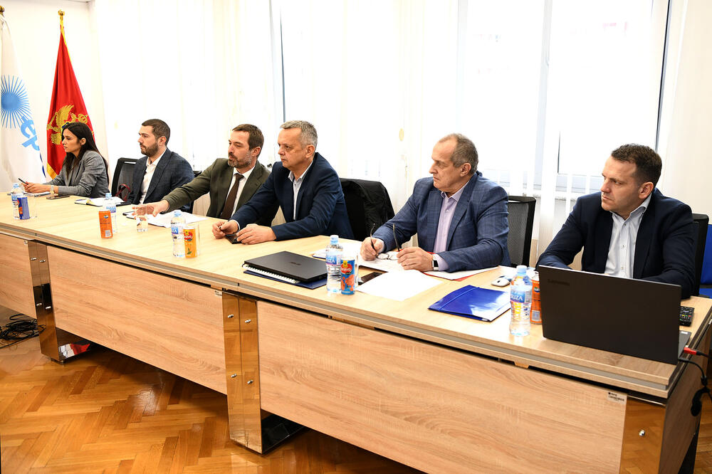 Predstavnici energetskog sektora, Saša Mujović