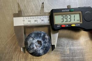 Ušla u Ginisovu knjigu rekorda: U Australiji izmjerena najteža...