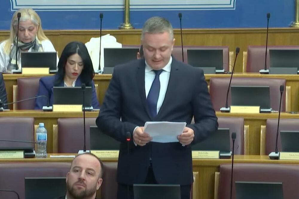 Dizdarević at today's Assembly session, Photo: Printscreen/Youtube