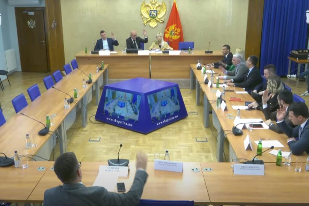 Sa sjednice Odbora, Foto: Skupština Crne Gore