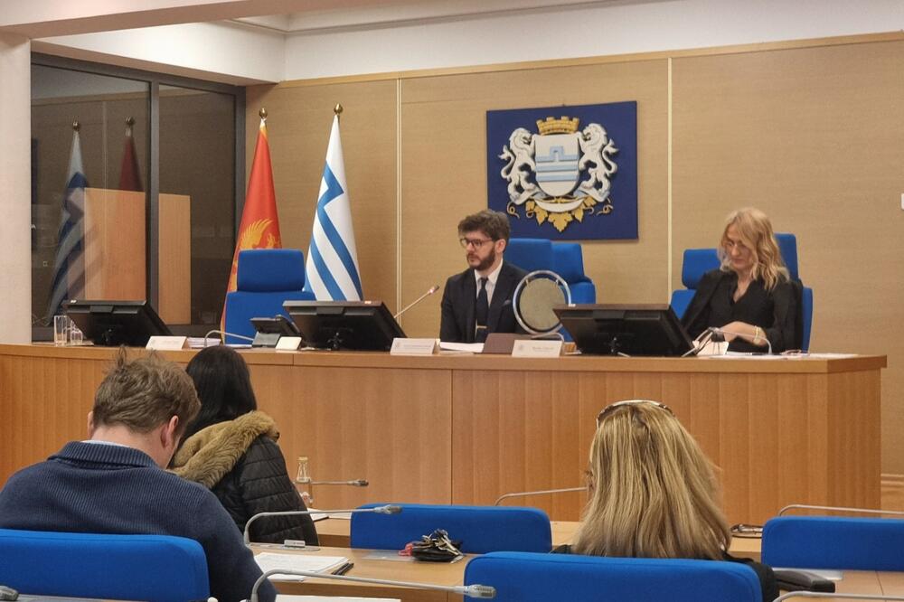 Sa sjednice Odbora, Foto: Nikola Saveljić