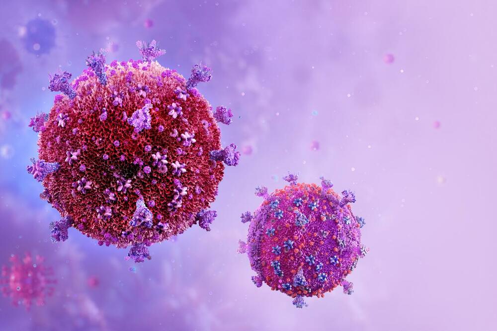HIV cells, Photo: Shutterstock