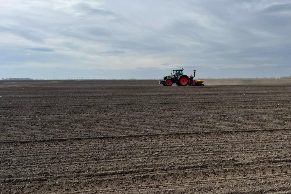 Foto: Sunoko, Sara Opačić