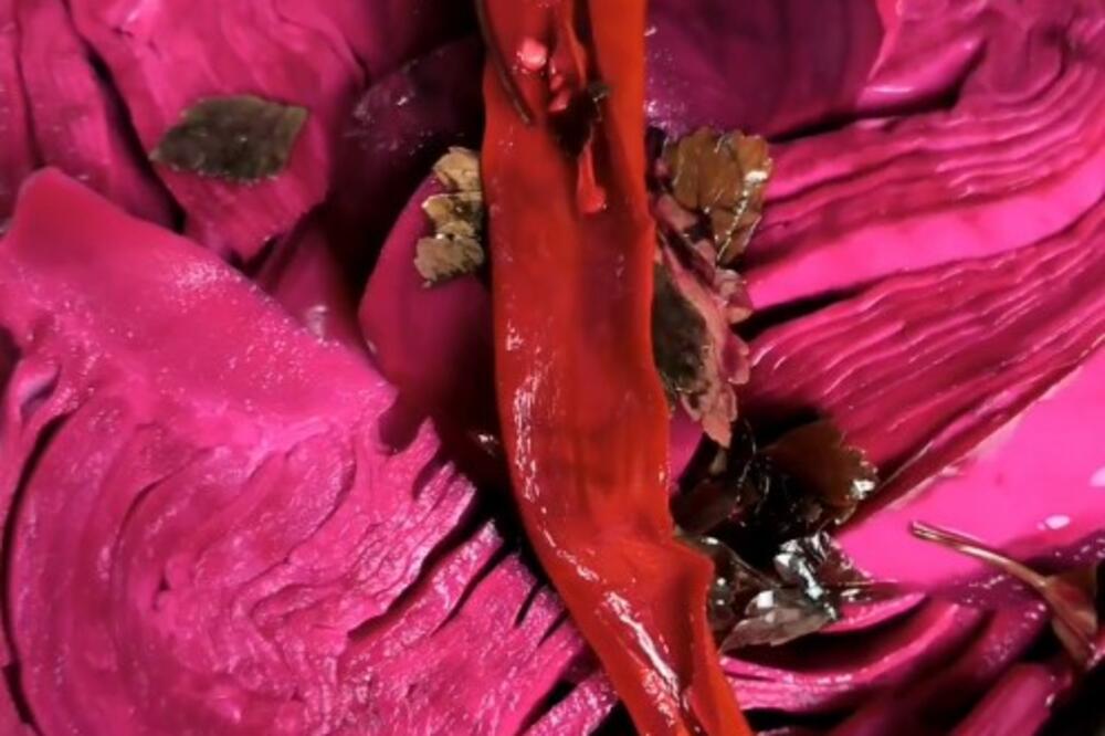 Ilustracija, Foto: Instagram/blogvad