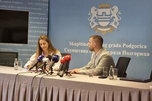 Čađenović defends Turković: She came to hear Mašković's presentation. We...