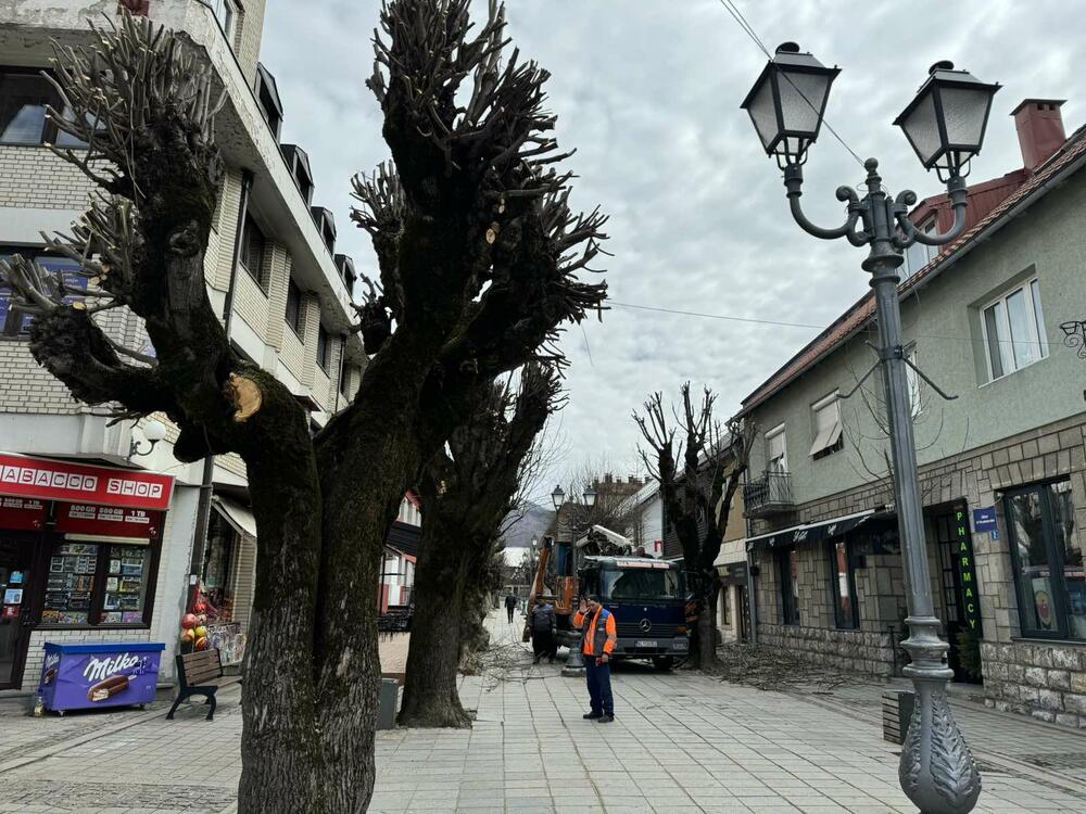 <p>Simović najavljuje da će radnici sređivati i parkovske i zelene površine, a uže gradsko jezgro će biti oplemenjeno i novim sadnicama cvijeća</p>