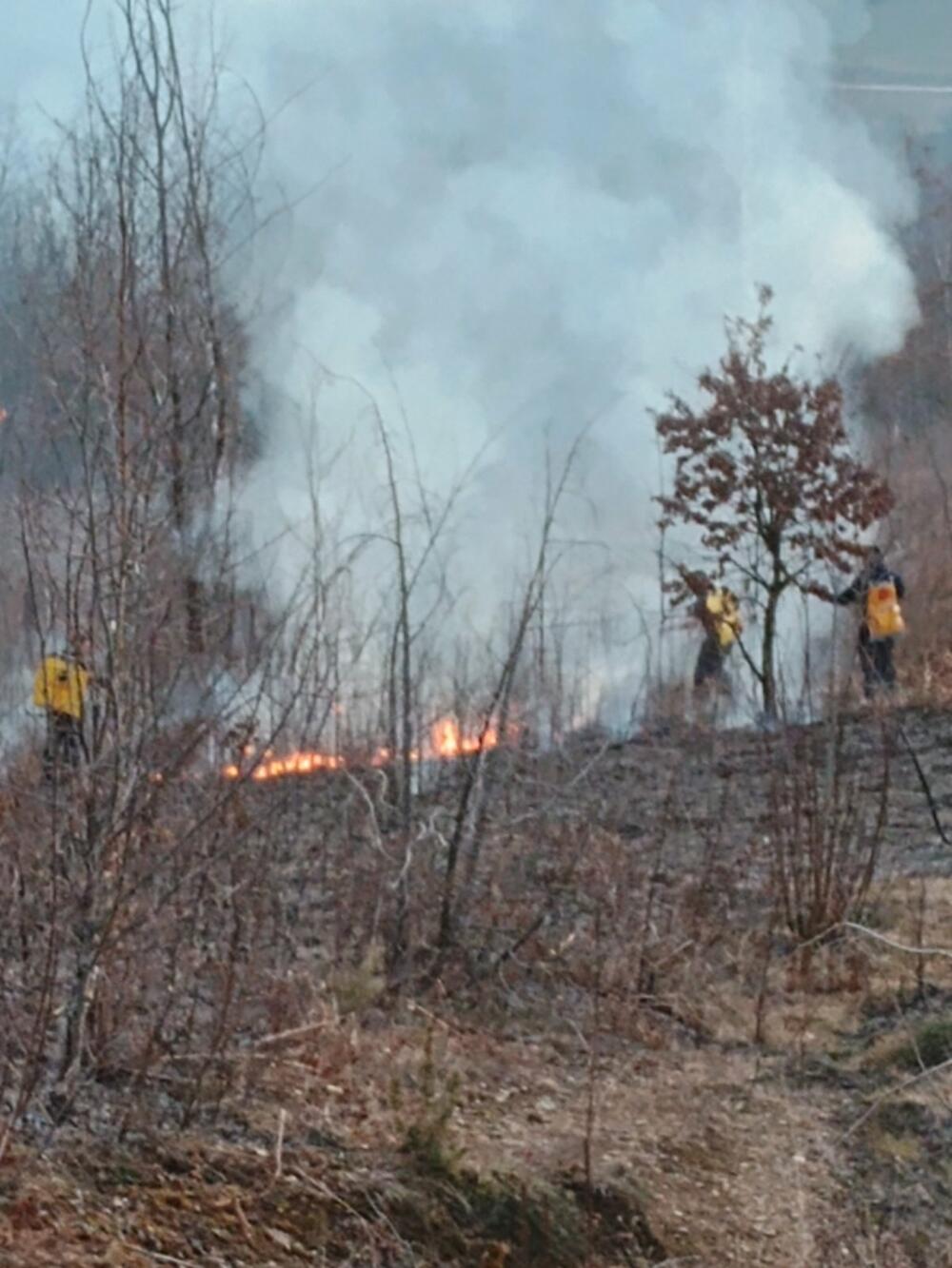 Members of the Protection and Rescue Service also intervened in extinguishing the forest fire in Grančarevo and Selima yesterday
