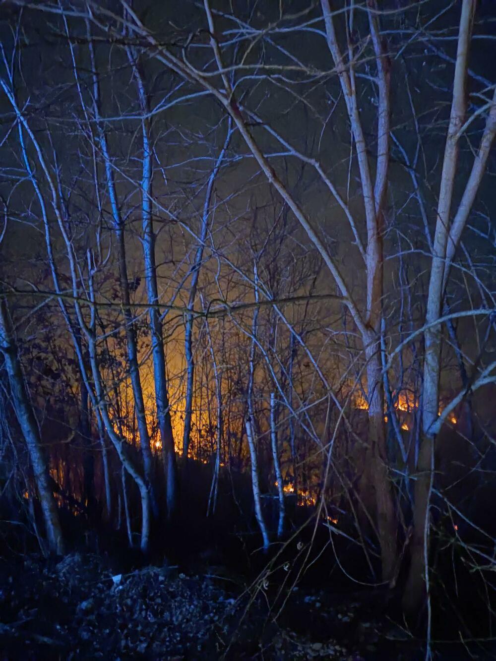 <p>Pripadnici Službe zaštite i spašavanja juče su intervenisali i na gašenju šumskog požara u Grančarevu i Selima</p>