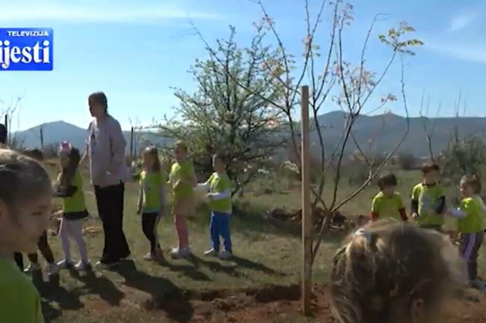 Foto: Printscreen YouTube