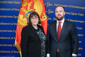 Nikolić - Meken: The key challenge for Montenegro will be how to ensure...
