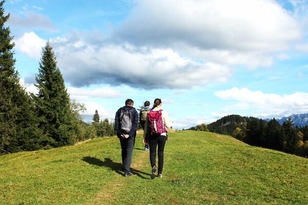 Prvi susret sa Alpima
