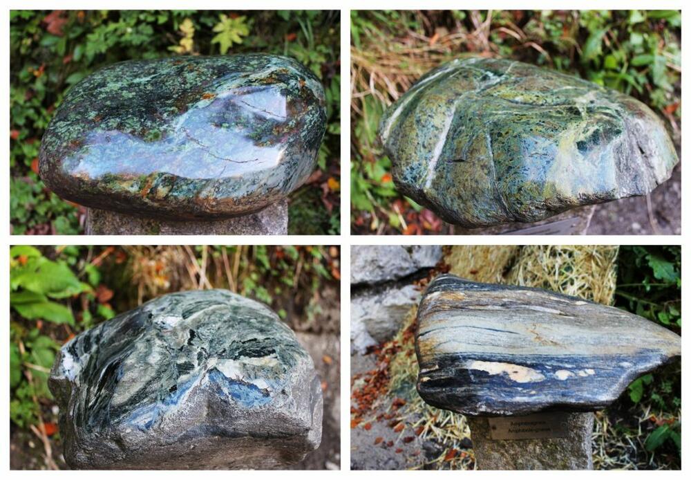 Jasnina putovanja Alpi