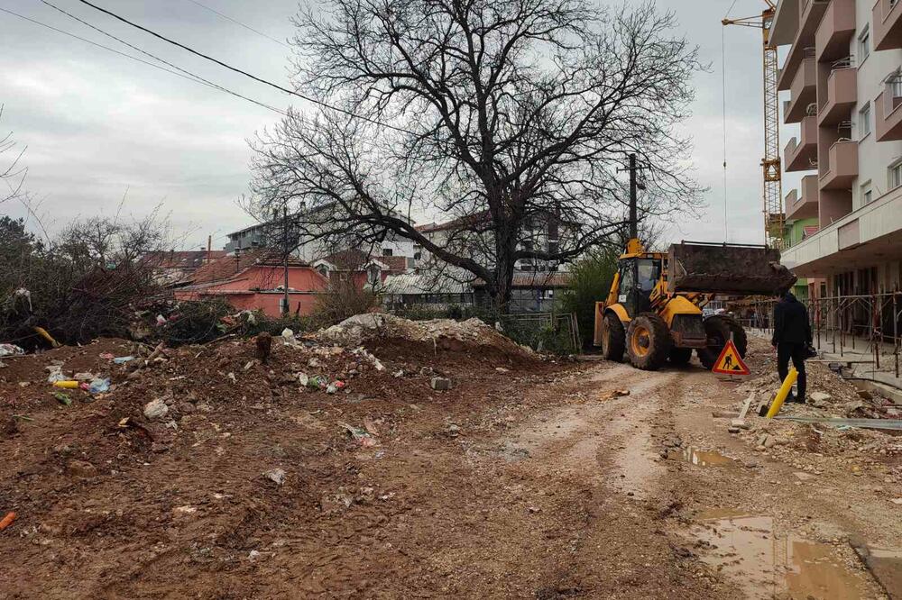 Foto: Svetlana Mandić