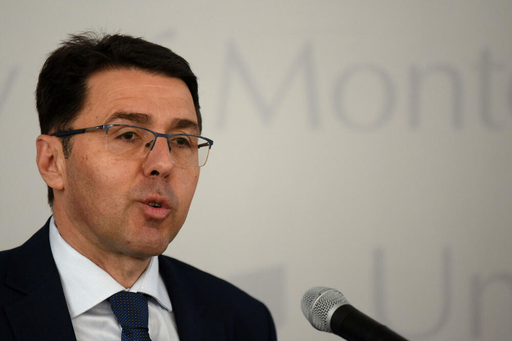 Savjet trebalo da pruži konkretne predloge i mišljenja: Radulović, Foto: BORIS PEJOVIC