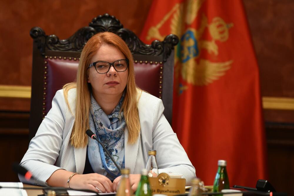 “Doprinijeli smo da se konačno odblokiraju pregovori sa EU”: Vukićević, Foto: BORIS PEJOVIC