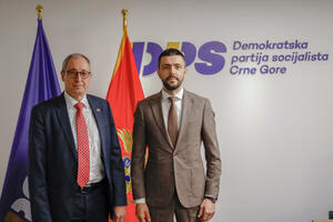 Živković: DPS on the line of policies that promote the European path of Montenegro...