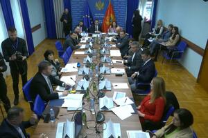 Zampeti: The necessary amendments to the Law on the Protection of Whistleblowers and...