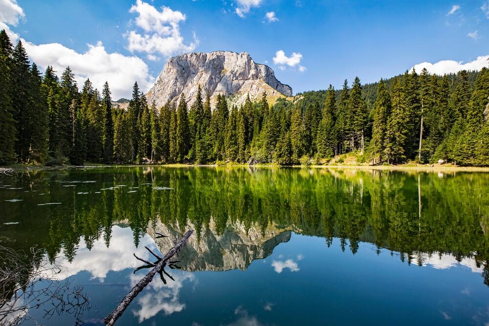 The lake is located at an altitude of over 1500m, surrounded by the evergreen forest.