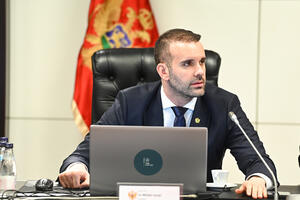 Personnel solutions of the Government: Goranović Spajić's advisor for...