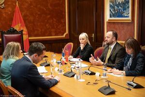 Nikolić: The parliamentary majority is on glass legs and its deadline...
