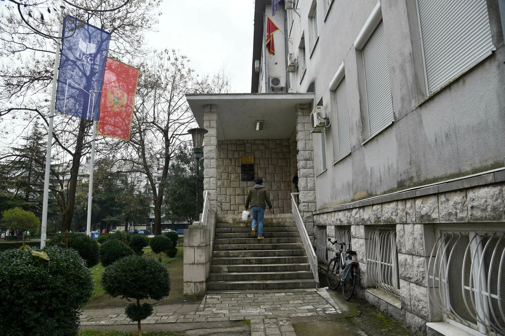 The Institute and the Fund now do not have the possibility of checking salary payments or medical certificates: ZZZ, Photo: BORIS PEJOVIC