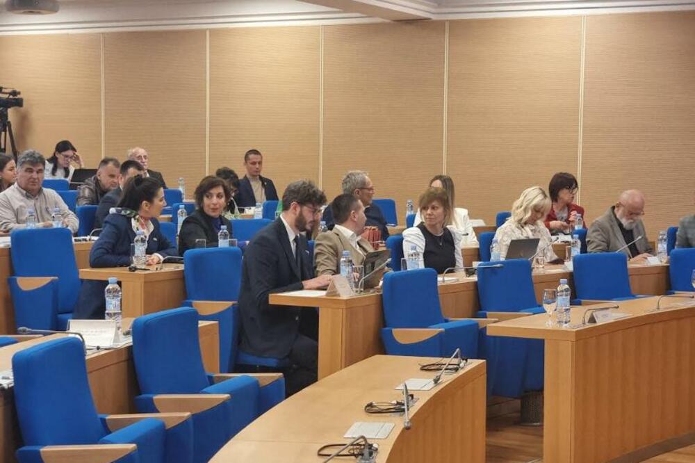 Foto: Nikola Saveljić