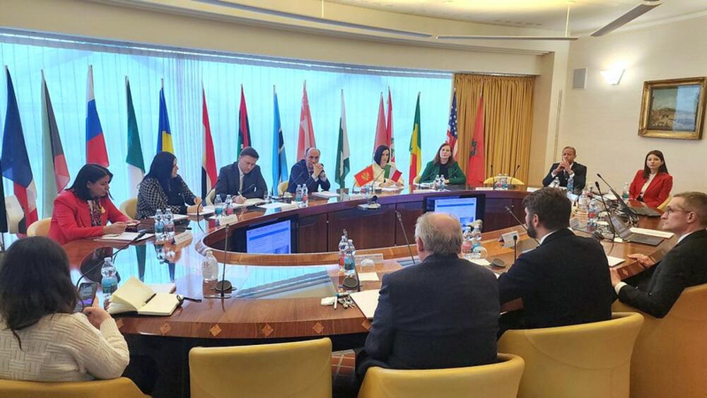 <p>Iz Ministarstva zdravlja su kazali da će razvoj digitalnih servisa u zdravstvu biti posebno u fokusu</p>