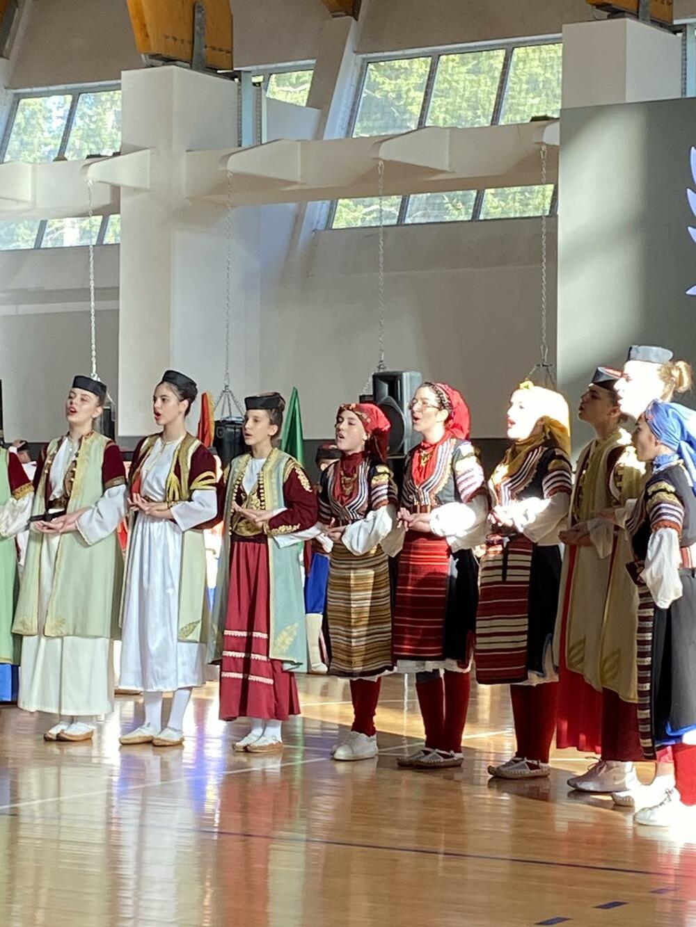 <p>Publici se pored žabljačkog KUD-a "Radoje Dakić - Brko", predstavili ansambli: iz Plužina KUD Piva, iz Podgorice KUD "Mirko Srzentić" i KUD "Duga Montenegro", Nikšića - FA "Zahumlje", Mojkovca - KUD "Vesna", Pljevalja - KUD "Volođa", Kotora - FA "Nikola Đurković" i Bijelog Polja - KUD "Tekstilac"<br /> </p>