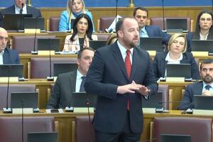 Nikolić: Mandić went on strike because of Kosovo, but today he is silent on statements...