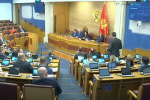 The parliamentary majority proposed the change of: Vice President of the Assembly...